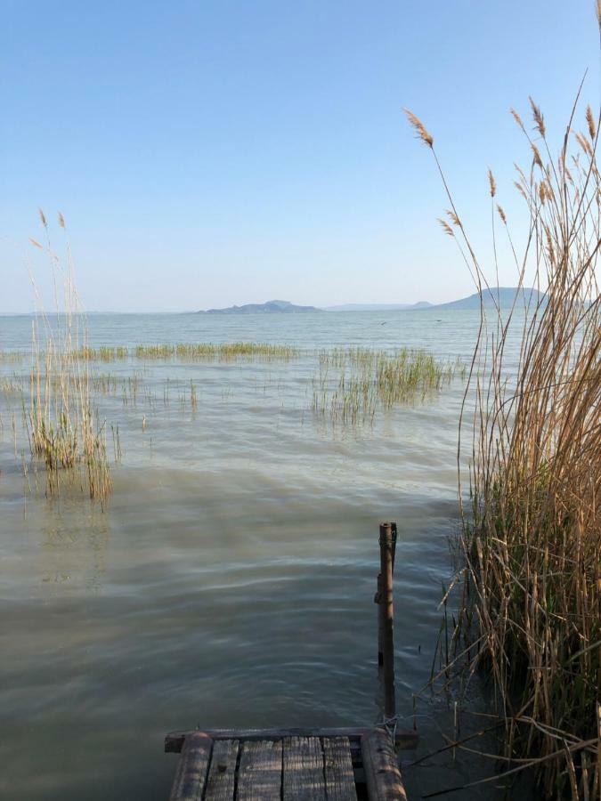 Tieff Apartmanhaz Balatonmariafuerdo Hullamtelep 巴拉顿凯赖斯图尔 外观 照片